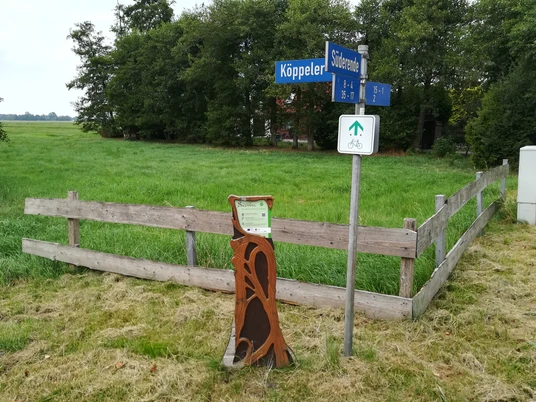 Hörstation "Die Hexenmühle zu Steinau"