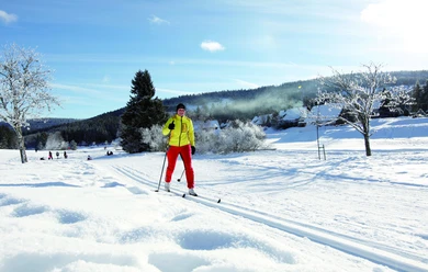 Skilanglauf in Forbach Herrenwies im Murgtal Kopie