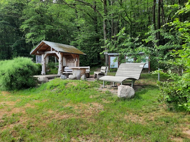 Ginstereck Holzbank und überdachte Raststelle in einem Waldgebiet, umgeben von grünen Bäumen und Sträuchern.