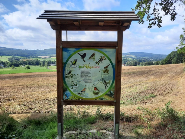 Vogeluhr Falkenhagen Vogeluhr in Falkenhagen: Holztafel mit Vogelarten-Beschreibungen vor einer weiten Feldlandschaft.
