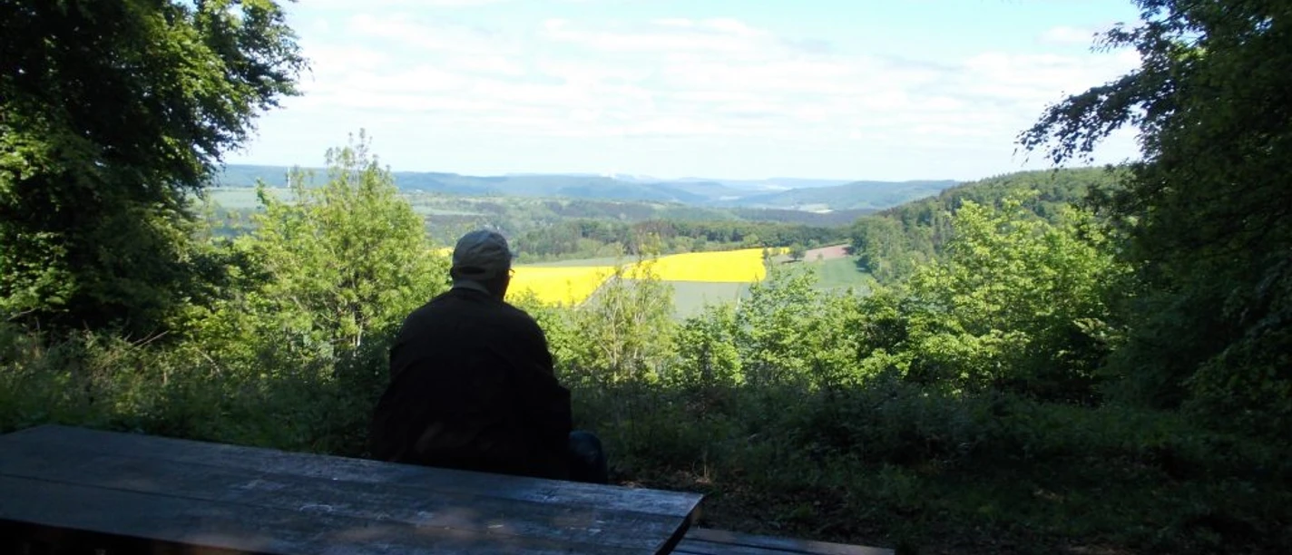 Ein Besucher sitzt auf einer Bank mit Blick auf eine weite Landschaft mit grünen Hügeln und gelben Feldern.