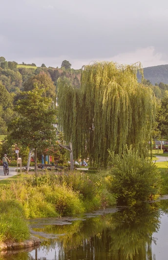 Blick auf den Emmerauenapark Grüne Parklandschaft mit Fluss, Bäumen und einem Kiesweg, auf dem Spaziergänger unterwegs sind.