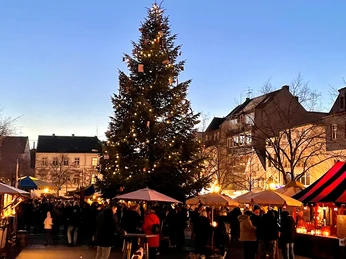 Weihnachtsbaum 2.jpg