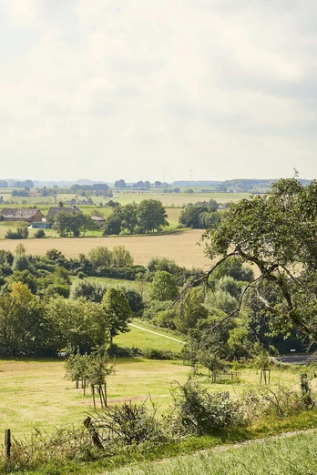 Oelde Stromberg Pflaumenweg 2