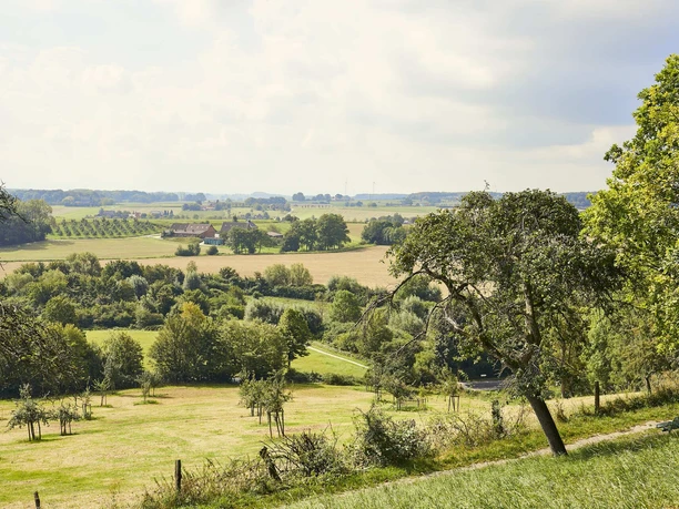 Oelde Stromberg Pflaumenweg 2