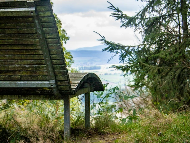 Ausblick Mythenweg Eine Holzbank am Waldrand bietet einen weiten Blick über eine grüne Landschaft mit Hügeln im Hintergrund.