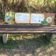 Wie verhalte ich mich im Wald? Eine Parkbank mit Infotafel zum verantwortungsvollen Verhalten im Wald, umgeben von Büschen.