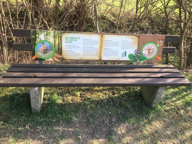 Wie verhalte ich mich im Wald? Eine Parkbank mit Infotafel zum verantwortungsvollen Verhalten im Wald, umgeben von Büschen.