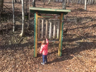 Ein Kind spielt im Wald mit einem großen, stehenden Xylophon aus Holzstämmen, dem "Dendrophon".