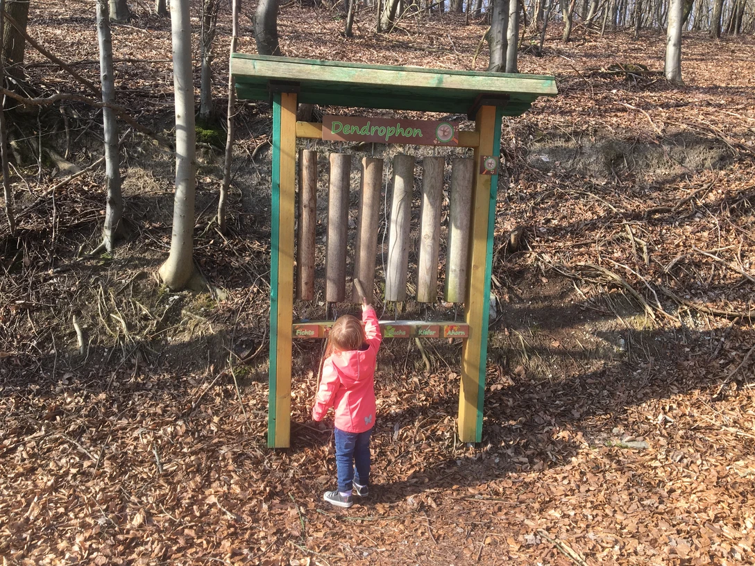 Dendrophon Ein Kind spielt im Wald mit einem großen, stehenden Xylophon aus Holzstämmen, dem "Dendrophon".