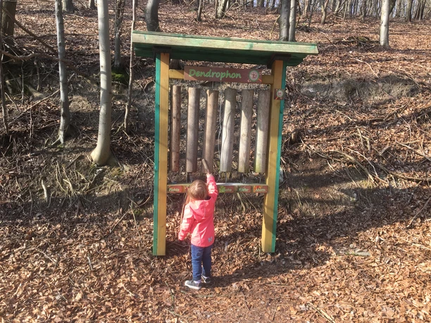 Dendrophon Ein Kind spielt im Wald mit einem großen, stehenden Xylophon aus Holzstämmen, dem "Dendrophon".