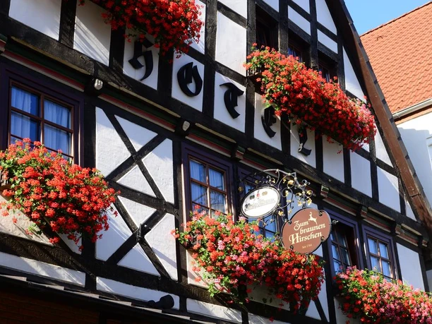Zum braunen Hirschen.jpg Aufnahme vom Haus des Braunen Hirschen.