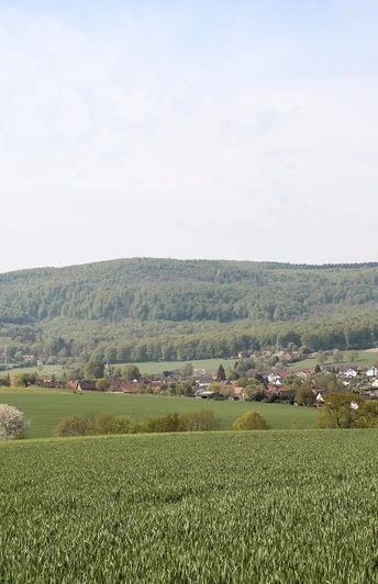 Ausblick Elbrinxen Weite Felder und Wälder umgeben das Dorf Elbrinxen, eingebettet in eine sanfte Hügellandschaft.