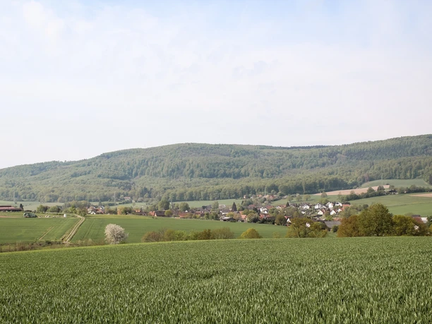 Ausblick Elbrinxen Weite Felder und Wälder umgeben das Dorf Elbrinxen, eingebettet in eine sanfte Hügellandschaft.