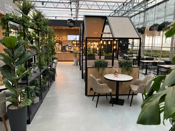 Café Karl Nienburg Moderne Café-Einrichtung mit Pflanzen, hölzernem Tresen und gemütlichen Sitzmöglichkeiten innen.