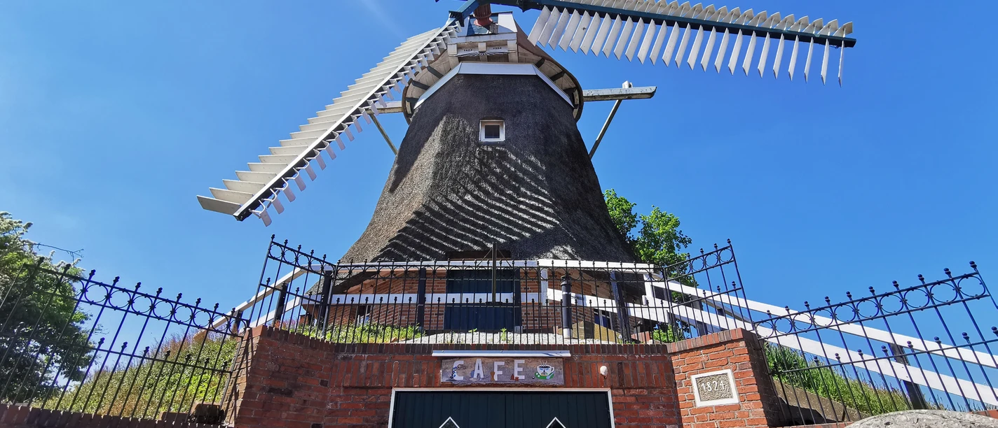 Mühle_Burlage_Rhauderfehn_31.05.21_mk (11).jpg Blick von unten auf eine große Windmühle mit vier Flügeln hinter einem schmiedeeisernen Zaun und einem Backsteintor mit zwei kleinen Fenstern