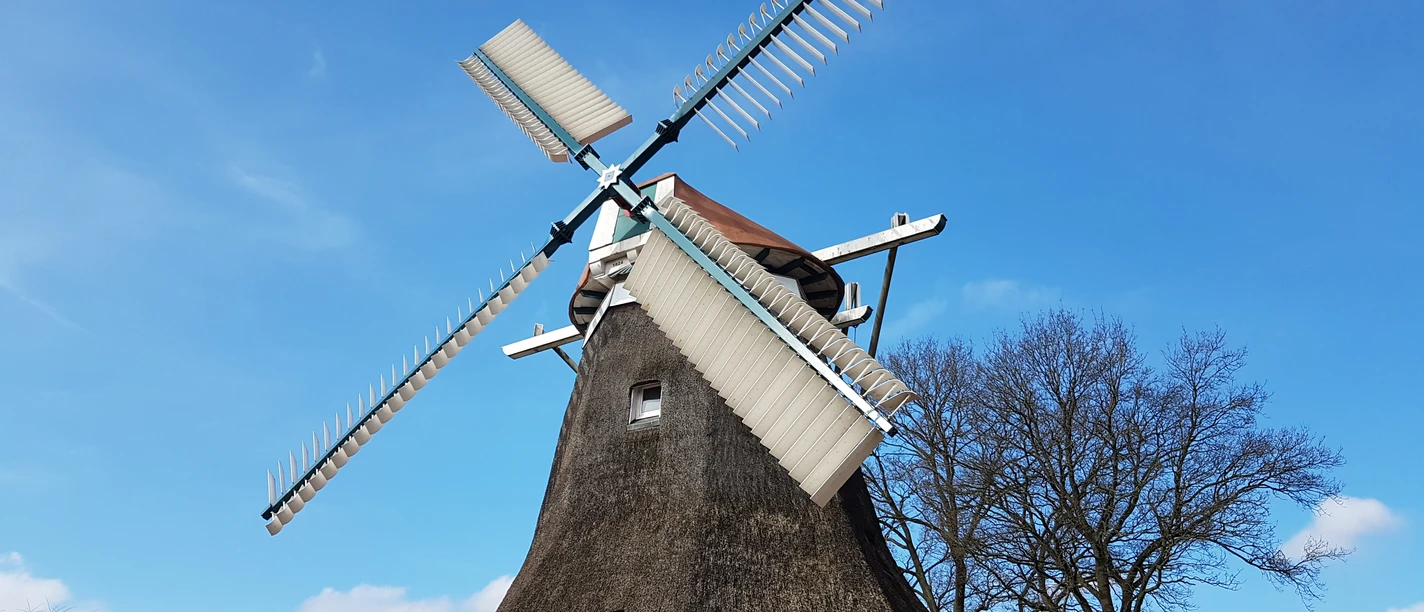 Een rietgedekte windmolen met vier grote wieken tegen een blauwe lucht en kale bomen