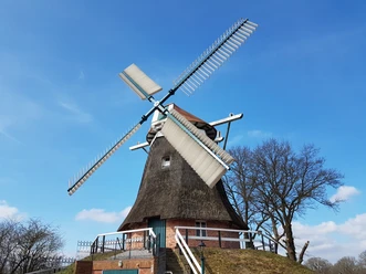 A thatched windmill with four large sails against a blue sky and bare trees