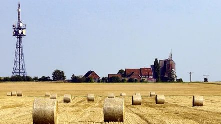 Metzingsche Mühle Peine Stederdorf (1).jpg
