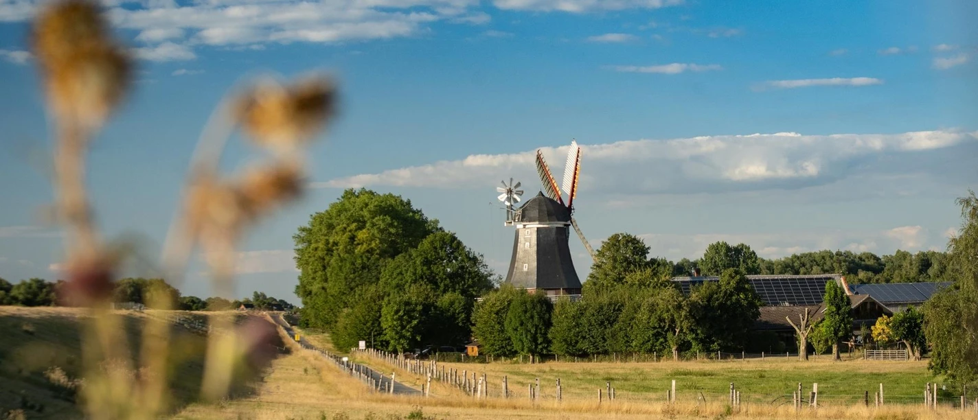 Windmühle am Weserdeich Fernblick auf die Mühle Aschwarden am Weserdeich