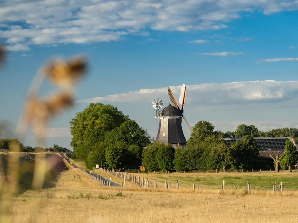 Windmühle am Weserdeich Fernblick auf die Mühle Aschwarden am Weserdeich