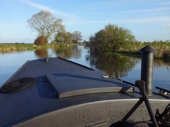 Torfkahn in der Natur