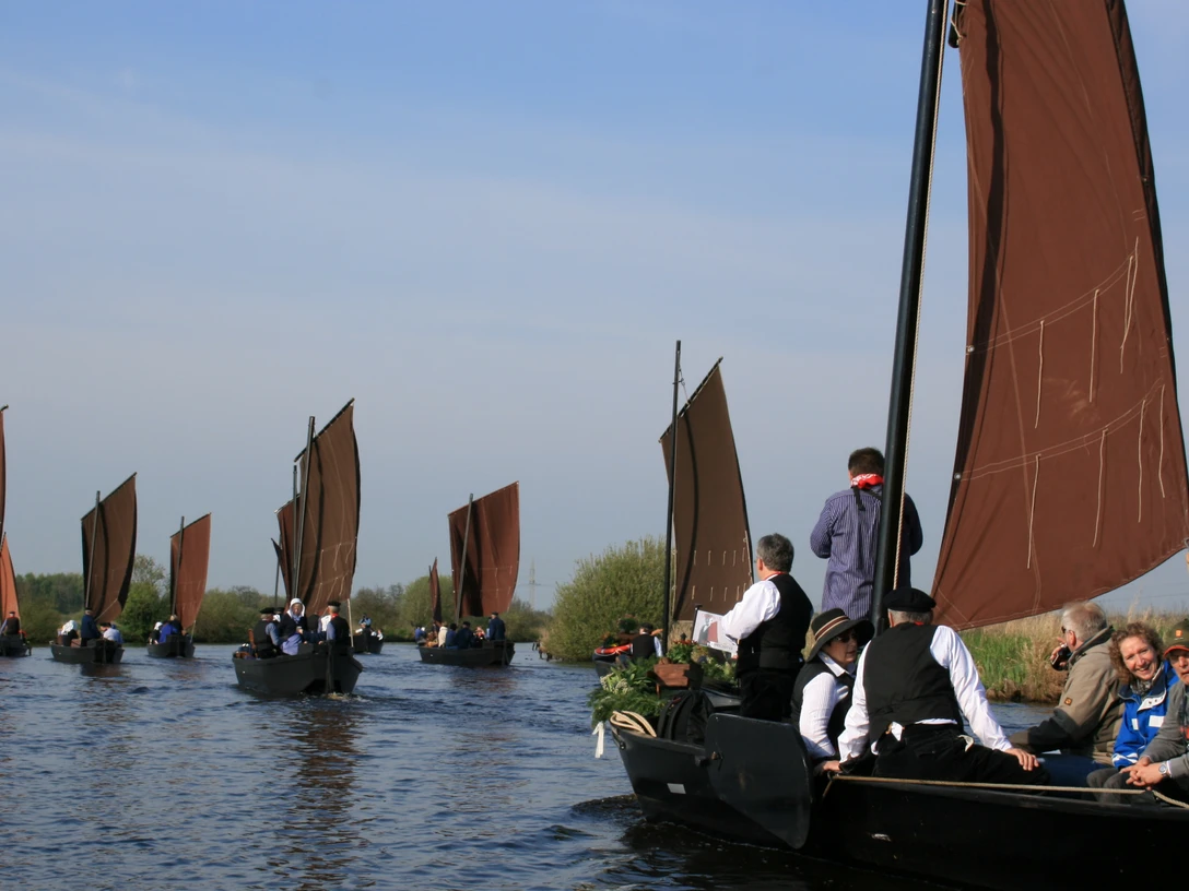 Braune Segel auf der Hamme