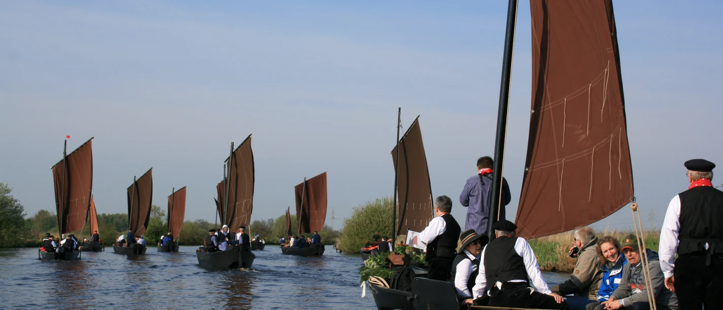 Braune Segel auf der Hamme