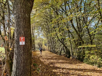 Fabelweg "Herzberger Ritter" im goldenen Oktober