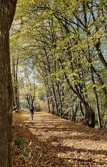 Fabelweg "Herzberger Ritter" im goldenen Oktober