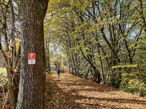 Fabelweg "Herzberger Ritter" im goldenen Oktober