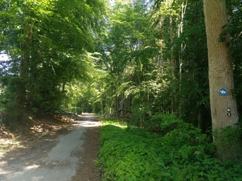 Unterwegs auf Wandertour - breites Wanderwegenetz Bad Salzuflen