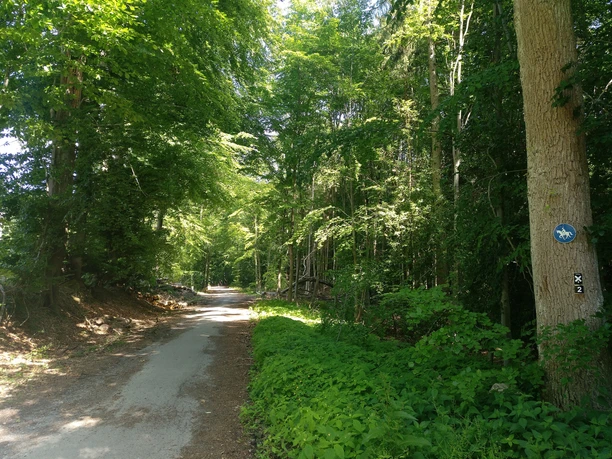 Unterwegs auf Wandertour - breites Wanderwegenetz Bad Salzuflen Unterwegs auf Wandertour - breites Wanderwegenetz Bad Salzuflen