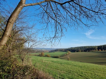 Aussicht in eine sanfte Hügellandschaft