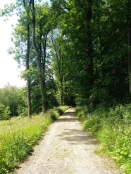 Unterwegs Ausblicke genießen vom Wanderweg 1