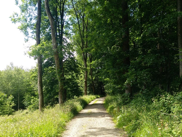 Unterwegs Ausblicke genießen vom Wanderweg 1