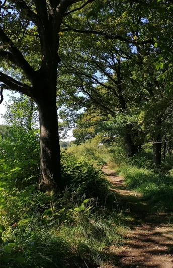 NSG Hechtmoor_Christina Matzen (8).jpg