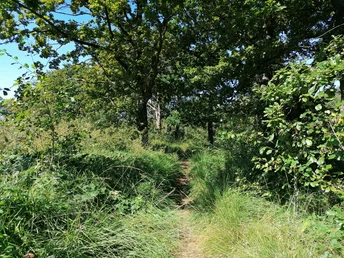 NSG Hechtmoor_Christina Matzen (15).jpg