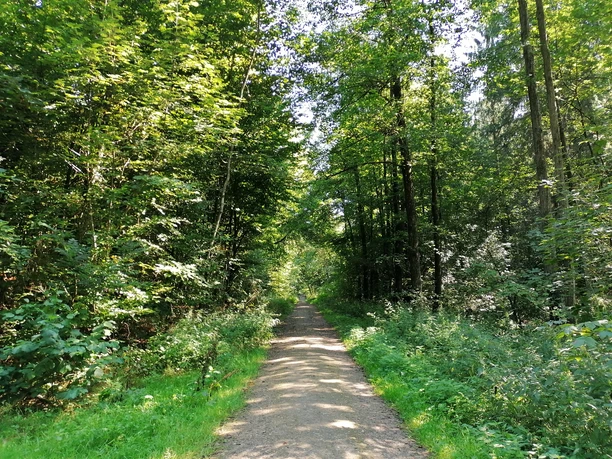 Gehege Rehberg_Christina Matzen (6).jpg