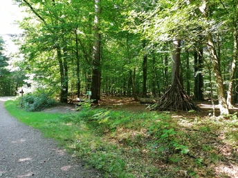 Gehege Rehberg_Christina Matzen (16).jpg