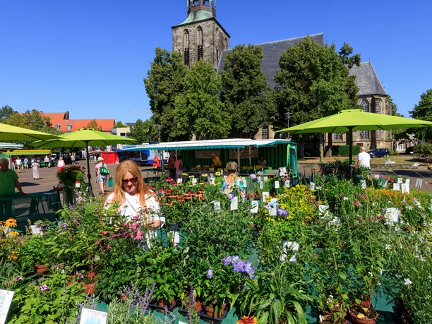 Nordhorn-Grafschaft-Bentheim-weekmarkt-4-©EUREGIO-Jurjen-Drenth.JPG