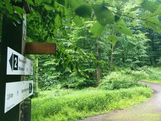 unterwegs am Wandern im Salzufler Stadtwald unterwegs am Wandern im Salzufler Stadtwald