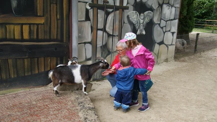 Zoo Ludwigslust