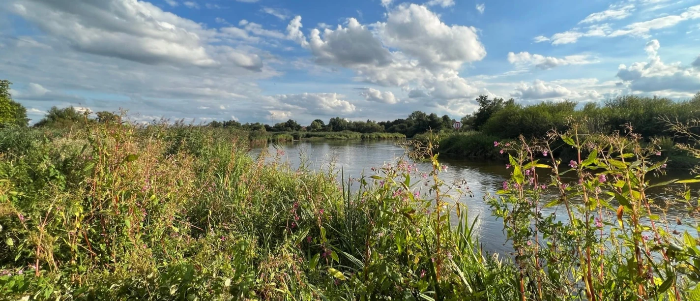 Herbst an der Wümme