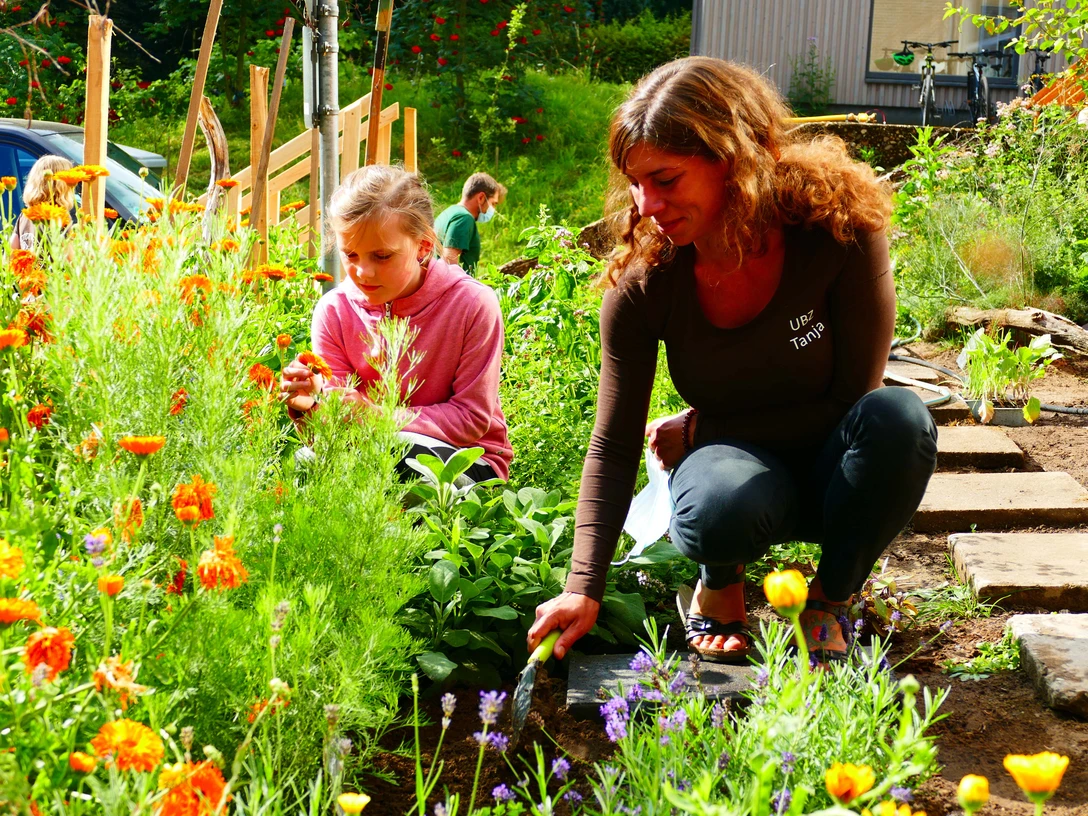 Umweltbildungszentrum Heiligenhaus Zwei Personen arbeiten in einem farbenfrohen Garten voller blühender Blumen bei Sonnenlicht.