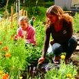 Umweltbildungszentrum Heiligenhaus Zwei Personen arbeiten in einem farbenfrohen Garten voller blühender Blumen bei Sonnenlicht.