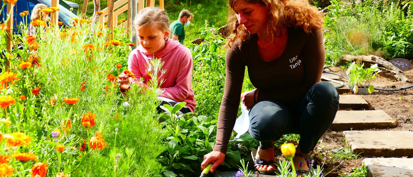 Umweltbildungszentrum Heiligenhaus Zwei Personen arbeiten in einem farbenfrohen Garten voller blühender Blumen bei Sonnenlicht.