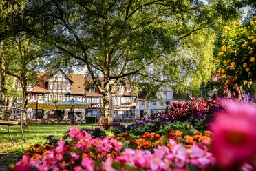 Kurpark Weinreihe Kurpark