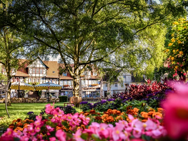 Kurpark Weinreihe Kurpark