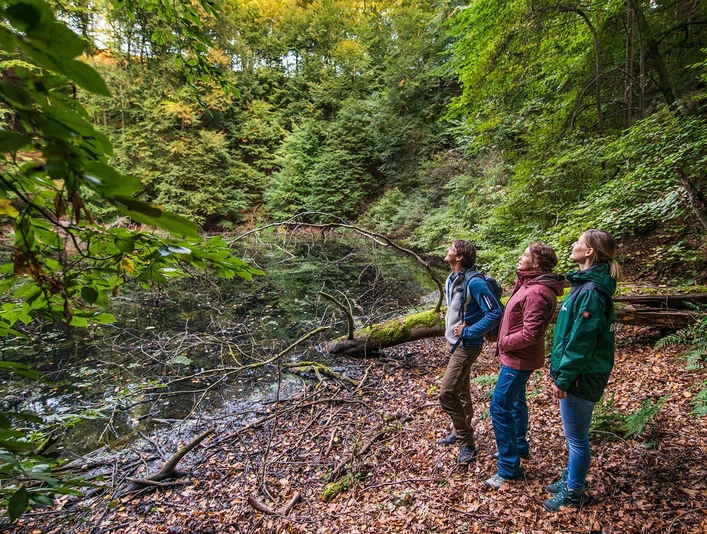 Nasser Wolkenbruch Trendelburg